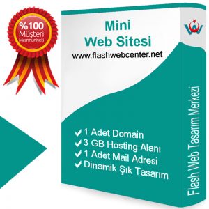 Web Tasarım Merkezi Hazır Mini Web Sitesi Paketi